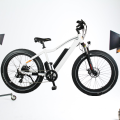 350W dynavolt cougar mtb bike retro electric bike